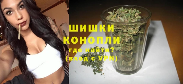 ГАЛЛЮЦИНОГЕННЫЕ ГРИБЫ Ельня