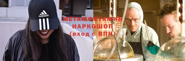 ГАЛЛЮЦИНОГЕННЫЕ ГРИБЫ Ельня