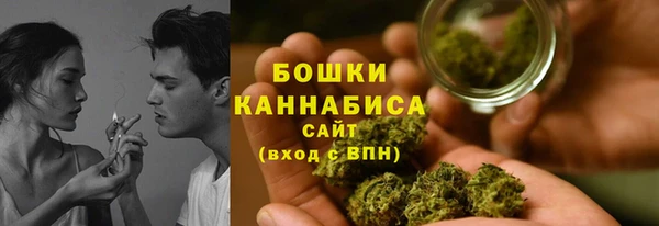 дживик Елабуга