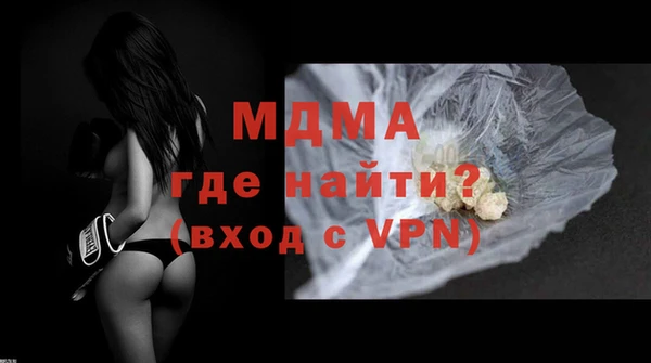 ГАЛЛЮЦИНОГЕННЫЕ ГРИБЫ Ельня