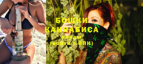 дживик Елабуга