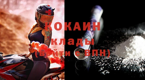ГАЛЛЮЦИНОГЕННЫЕ ГРИБЫ Ельня