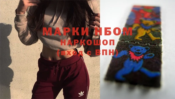 ГАЛЛЮЦИНОГЕННЫЕ ГРИБЫ Ельня