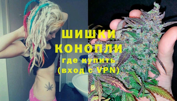 ГАЛЛЮЦИНОГЕННЫЕ ГРИБЫ Ельня