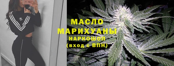 дживик Елабуга