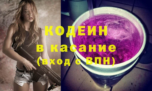 ГАЛЛЮЦИНОГЕННЫЕ ГРИБЫ Ельня