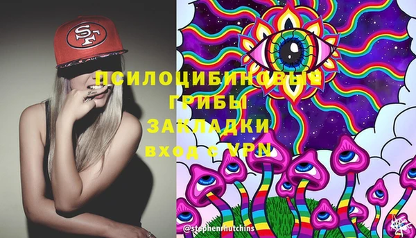 дживик Елабуга
