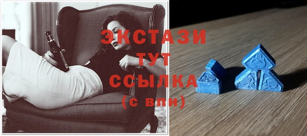 ГАЛЛЮЦИНОГЕННЫЕ ГРИБЫ Ельня